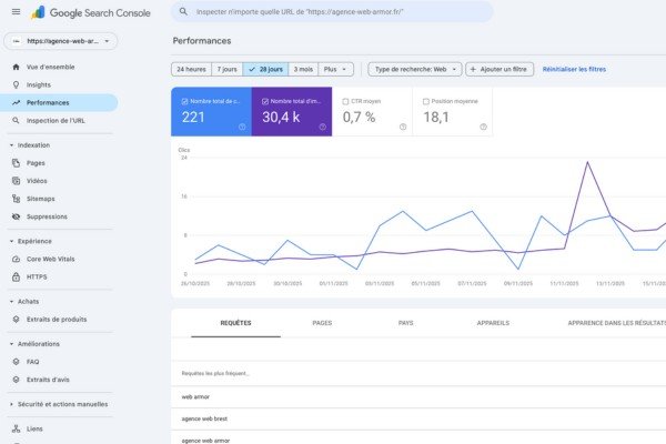 Screen Google Search Console